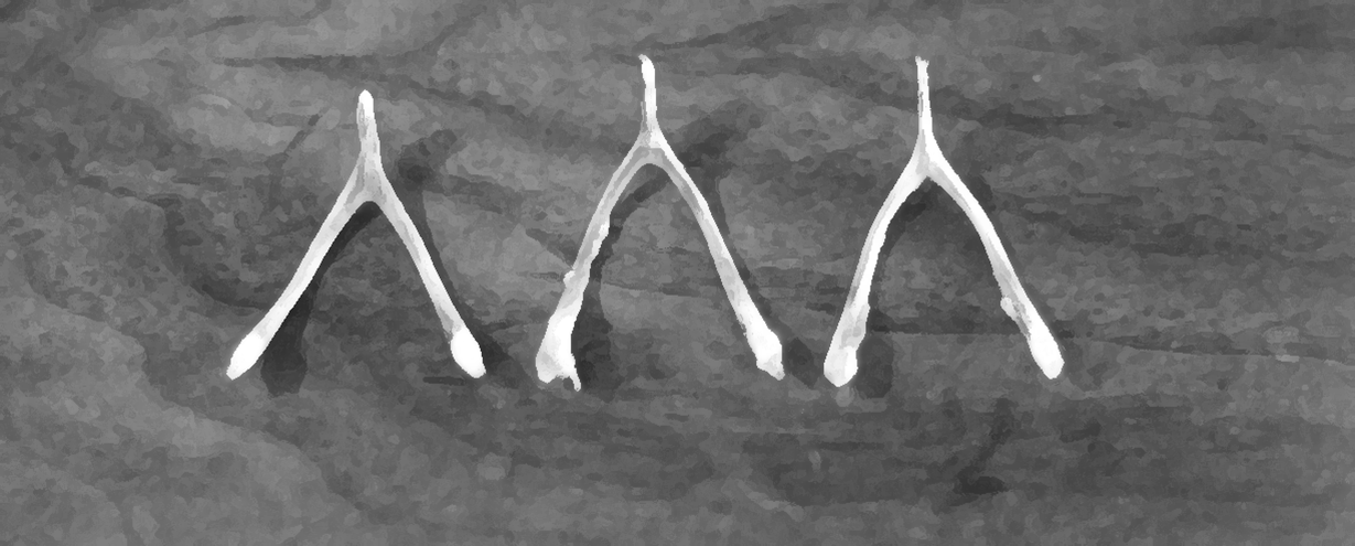 Three wishbones